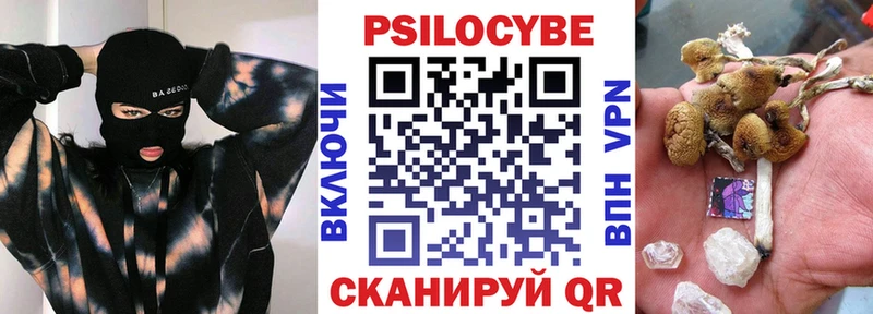 Псилоцибиновые грибы Psilocybe  мега   Армавир 